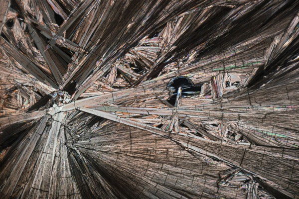 Intricate detail and radiant colors of Hippuric acid crystals magnified under a microscope. The