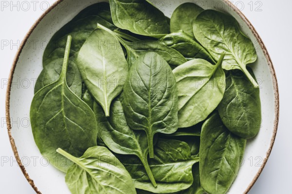 A top view of fresh green spinach leaves arranged beautifully in a rustic ceramic bowl. The vibrant