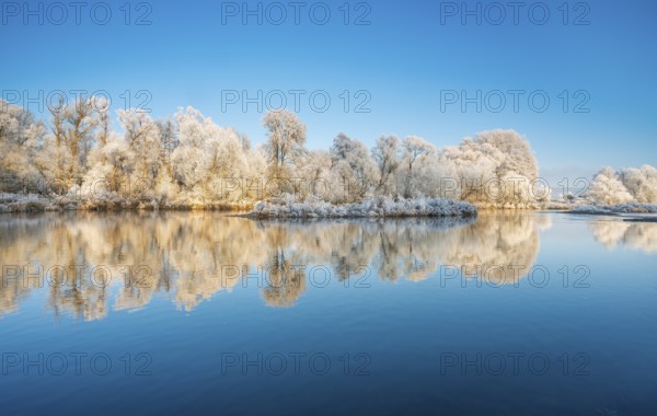 Trees with hoarfrost on the river Eder in winter, reflection in water, near Bad Wildungen, Hesse,