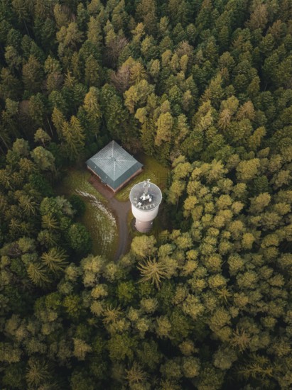 Tower seen from above, embedded in a forest, Unterhaugstett, Black Forest, district of Calw,
