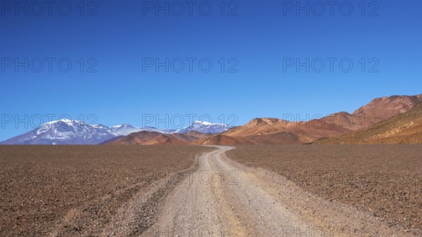 A captivating shot of a winding dirt road stretching through the stark, arid desert landscape of La