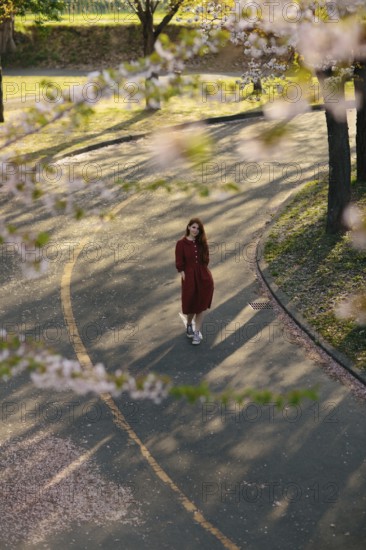 A serene scene of a person walking on a quiet, blossom-lined park path in Japan. Sakura flowers and