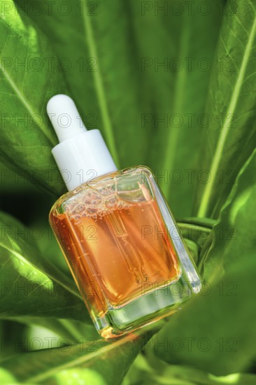 Dropper bottle of Vitamin C serum poised amidst vibrant green foliage, highlighting natural