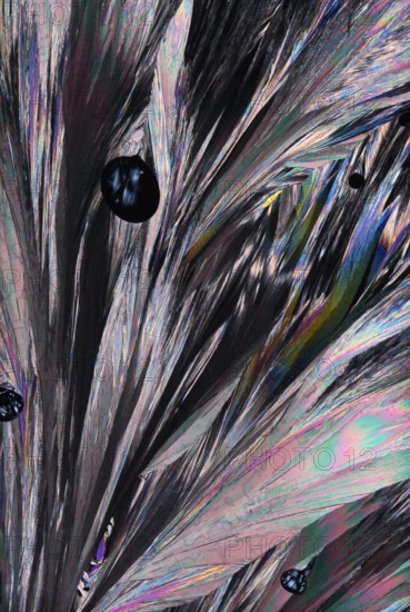 Intricate structure of Hippuric acid crystals magnified under a microscope, presenting a