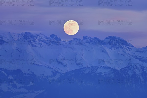 Full moon over the snow-covered Alps, Freiamt, Horben, Lindenberg, Aargau Canton, Switzerland