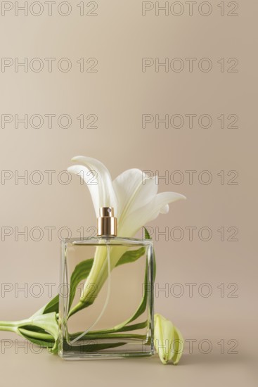 A minimalist perfume bottle elegantly paired with a white lily flower against a neutral background,