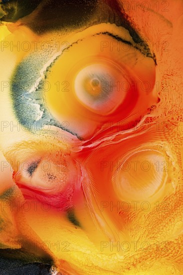 This abstract image features vibrant swirls of red, orange, and yellow hues, creating dynamic