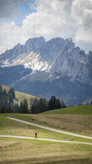 A serene scene in the district of Gruyere, showcasing a distant hiker in Jaun, with the rugged