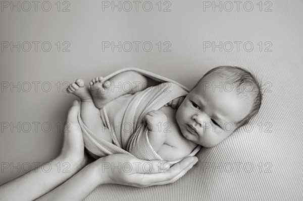 Cropped unrecognizable parent hands holding of a newborn baby securely . The baby appears calm and