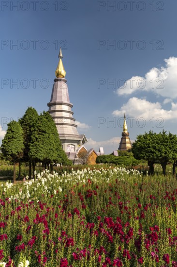 Chedis of the royal pagodas Phra Maha Dathu Nabha Metaneedol and Nabhapol Bhumisiri in Doi Inthanon