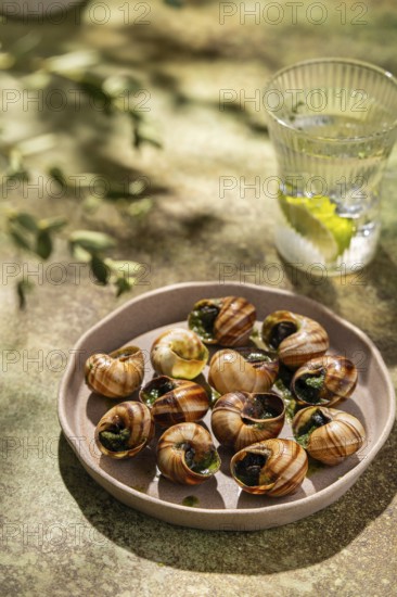 Gourmet baked escargots garnished with parsley and butter, served on a ceramic plate under natural