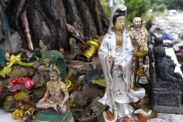 Bangkok, Thailand. February 19th 2025. Buddhist offerings under a tree in the Khlong Toei Market,