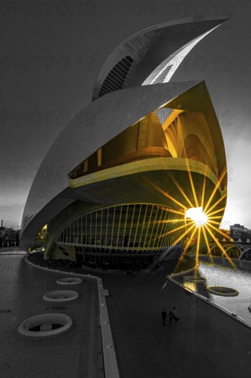 Palau de les Arts, Cuitat de les Arts i les Ciences, sunset, backlight, modern architecture,