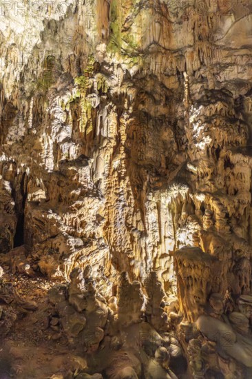Breathtaking view of illuminated stalactites and stalagmites formations inside postojna cave, a
