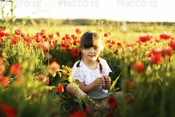 A charming young girl with braided hair sitting amongst blooming Papaver rhoeas, commonly known as