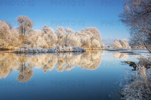 Landscape on the river Eder in winter, trees covered with hoarfrost, reflection in water, near Bad