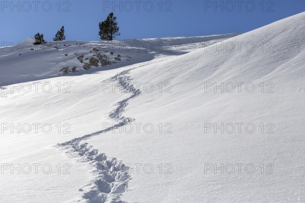A tranquil snowy landscape featuring a trail of footprints leading up a gentle slope under a clear