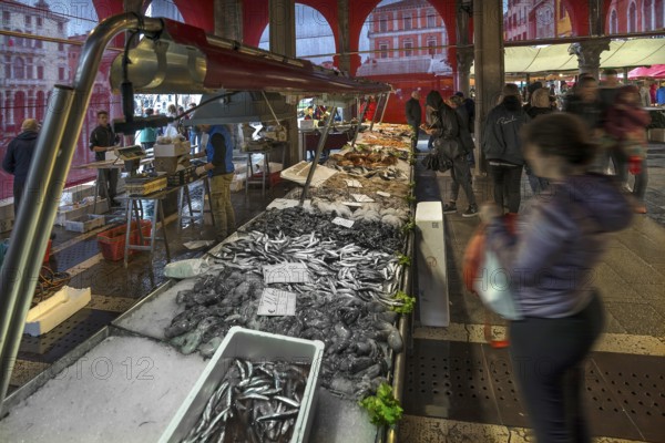 Fish market, rialto market in the San Polo district, Venice, Veneto, Italy