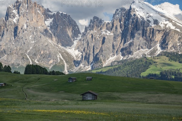 Charming wooden huts scattered across lush green meadows in Alpe di Siusi, with the dramatic peaks