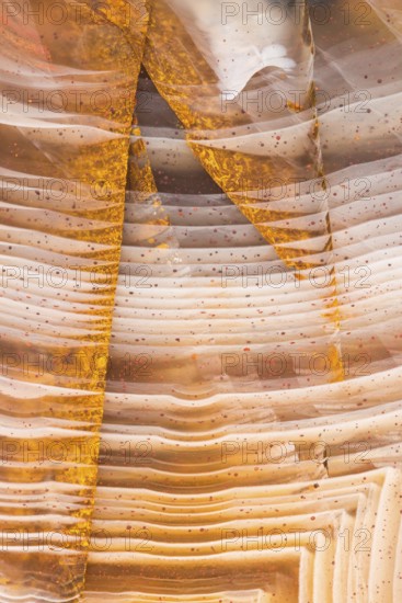 Close-up macro shot of Pilbara agate from Western Australia, showcasing its warm orange, cream, and