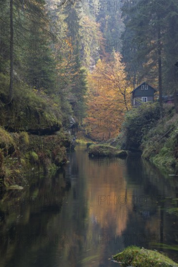 Log house and flowing water with ferns and rocks in the Edmunds Gorge in autumn. River Kamnitz,