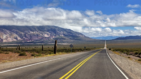Long road leads through a desert-like landscape with mountains and cacti under a cloudy sky, The