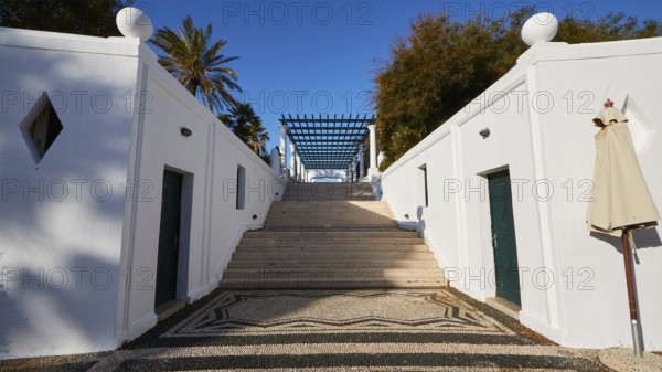 A wide staircase, flanked by white minimalist walls, leads to the top, surrounded by palm trees,