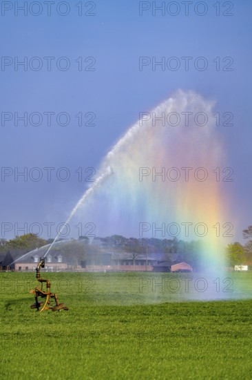 Artificial irrigation of a cereal field in April, with a sprinkler system, long dry spell in spring