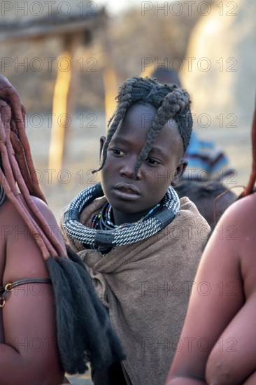 Himba girl, between Himba woman, portrait, in the morning, traditional Himba village, Kaokoveld,