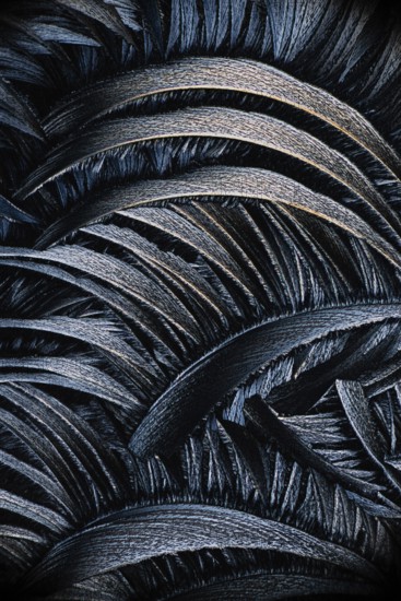 A detailed black and white photomicrograph showing the intricate patterns of salicylic acid