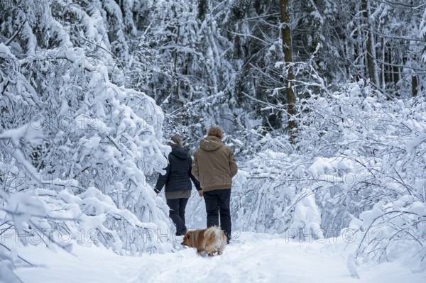 Two woman taking a walk with a dog through a snowy forest, winter, snow, Sieversen, Samtgemeinde