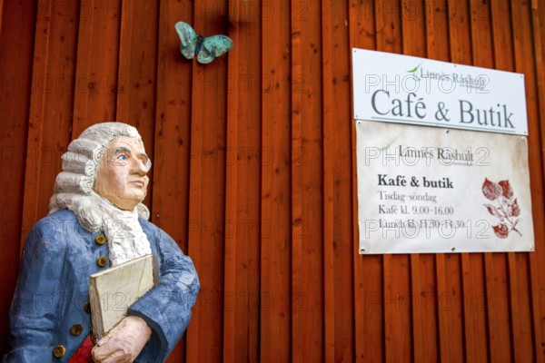 Wooden statue of botanist and founder of the binary nomenclature Carl von Linné with white hair and