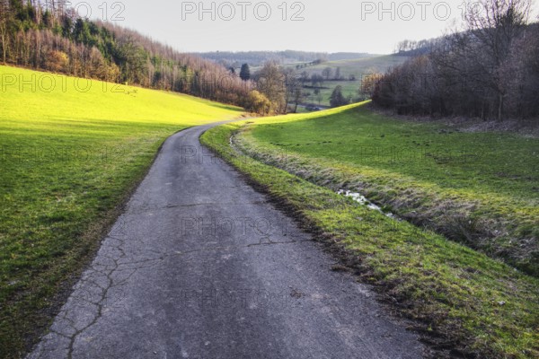 A winding path through a green landscape with hills and forests in the background, Siegen North
