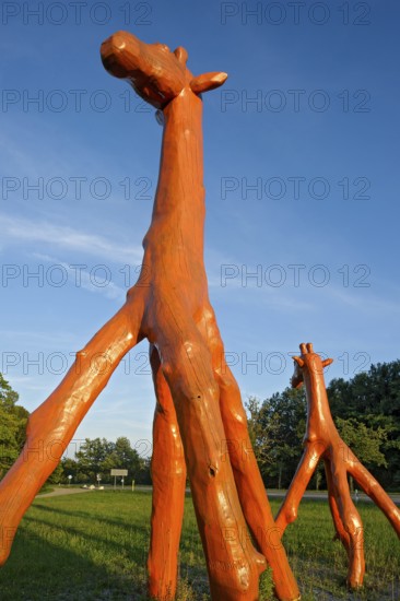 Giraffes made of red painted tree trunks, wooden sculpture by Günter Schumann, Museum of the