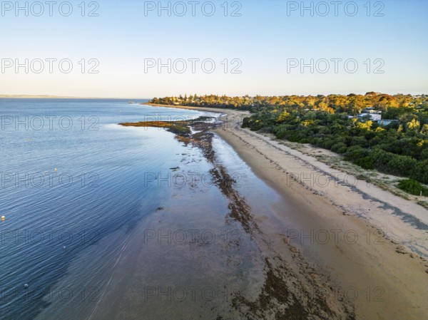 Aerial view of a serene beach at low tide with a lush green coastline in the Great Ocean Road,