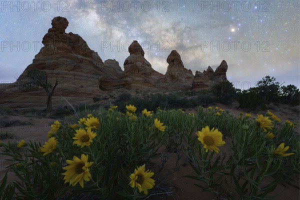 Starry night sky over Coyote Buttes in the Paria Canyon-Vermilion Cliffs Wilderness, Arizona,