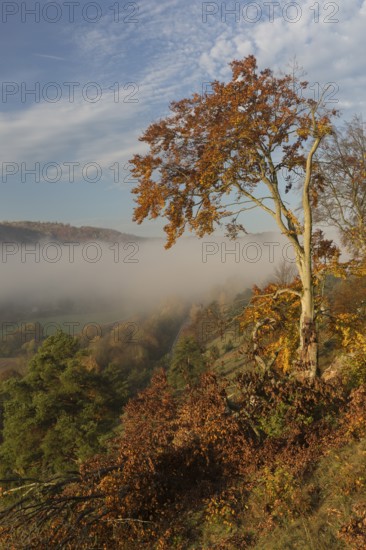 Sunrise close to the 12 Apostels rock formation in the Altmühl valley nature park close to