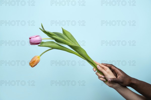 A close-up shot of multiethnic hands of a man and woman gently holding a vibrant flower,