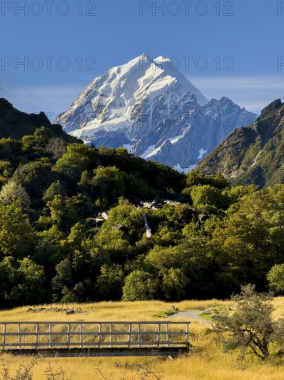 Stunning autumn landscape of Mount Cook, New Zealand, featuring snow capped peaks and lush foliage.