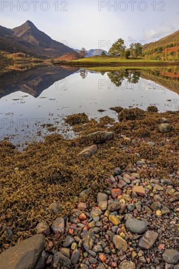 Mountains reflected in fjord, stones, midday light, sunny, still, coast, sea, autumn, autumn
