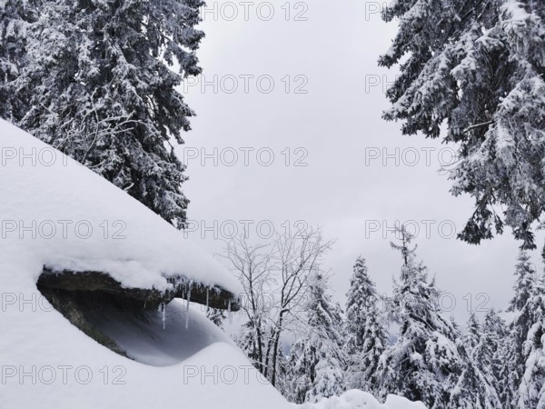 Winter landscape with snow-covered trees, large rocks and grey skies in natural surroundings,