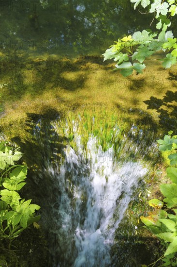 Small waterfall at the Gönningen lakes, calcareous tufa nature trail, idyll, nature, at the foot of
