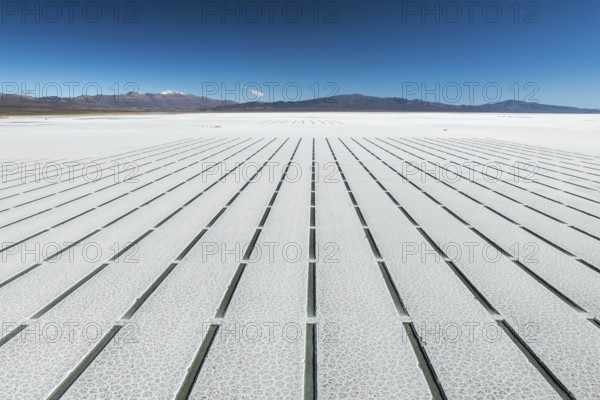 Aerial view of the geometric grid pattern created by salt extraction lines in Salinas Grandes,