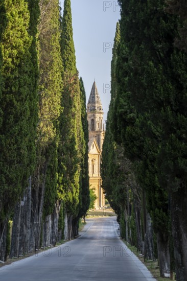 Road going through cypress trees to San Biagio Renaissance Church in autumn, architect Antonio da