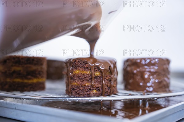 A cake is decorated with chocolate coating on a grid, Vegan Tartchen Production, Haselstaller Hof,