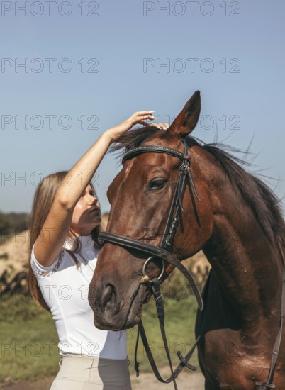 A young girl gently interacts with a brown horse in a sunny outdoor setting. The horse wears a