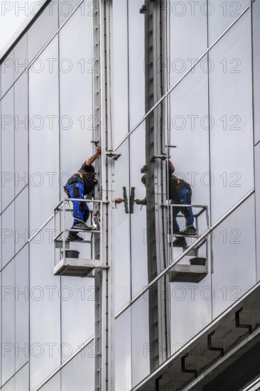 Window cleaner, facade cleaning, window cleaning, on a glass facade in Düsseldorf, ladder cage from