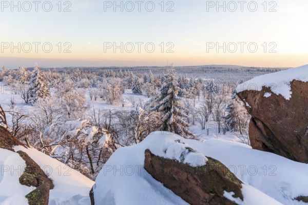 View from Großer Lugstein of the winter landscape with snow-covered trees and branches covered with