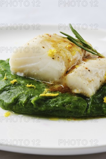 A succulent cod fillet sits atop a beautiful green spinach puree, garnished with herbs and citrus
