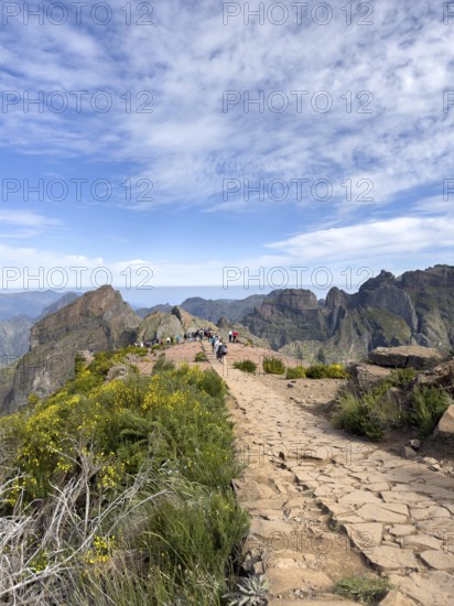 Hiking trail PR1 at the viewpoint of Pico Ruvio, Madeira, Portugal